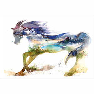 Horse Dreaming