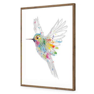 Imagination in Flight | Standard Acrylic | Flat Frame No Border | Natural