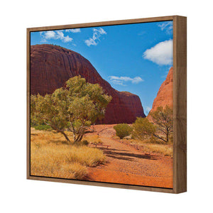 Into The Outback | Standard Canvas | Floating Frame | Natural