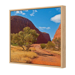 Into The Outback | Standard Canvas | Floating Frame | Oak