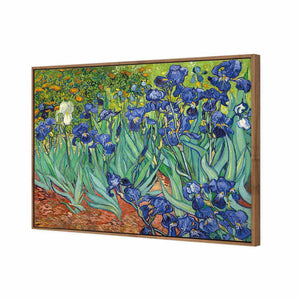 Irises 2 by Van Gogh | Standard Canvas | Floating Frame | Natural