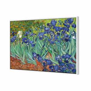 Irises 2 by Van Gogh | Standard Canvas | Floating Frame | White