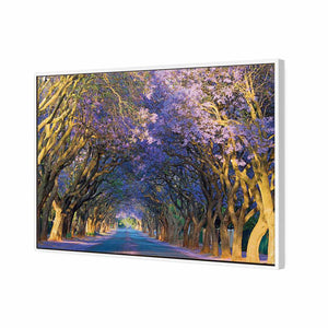 Jacaranda Alley | Standard Canvas | Floating Frame | White