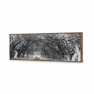 Jacaranda Alley, Long B&W | Classic Canvas | Floating Frame | Natural