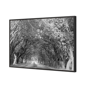 Jacaranda Alley, Rectangle B&W | Standard Canvas | Floating Frame | Black