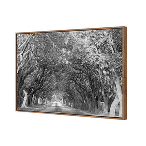 Jacaranda Alley, Rectangle B&W | Standard Canvas | Floating Frame | Natural