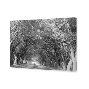 Jacaranda Alley, Rectangle B&W | Standard Canvas | No Frame | Stretched Canvas