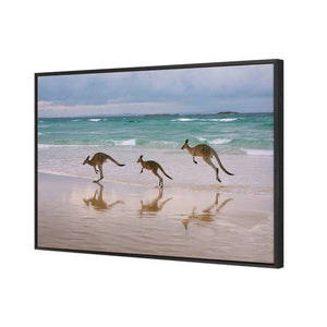 Kangaroos on Vacation | Classic Canvas | Floating Frame | Black