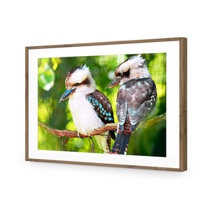 Kookaburra Pair | Standard Acrylic | Flat Frame With Border | Natural