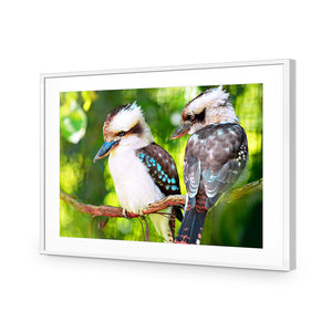 Kookaburra Pair | Standard Acrylic | Flat Frame With Border | White