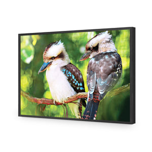 Kookaburra Pair | Standard Acrylic | Flat Frame No Border | Black