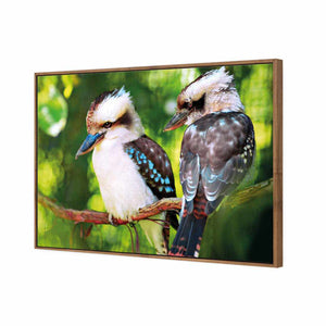 Kookaburra Pair | Standard Canvas | Floating Frame | Natural