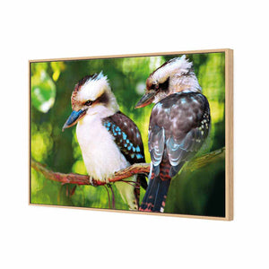 Kookaburra Pair | Standard Canvas | Floating Frame | Oak