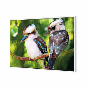 Kookaburra Pair | Standard Canvas | Floating Frame | White
