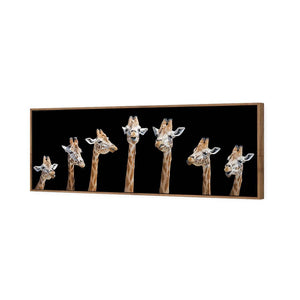 Laughing Giraffes | Classic Canvas | Floating Frame | Natural