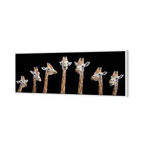 Laughing Giraffes | Classic Canvas | Floating Frame | White