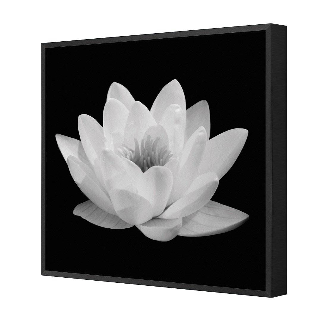 Lotus In Bloom, White | Standard Canvas | Floating Frame | Black