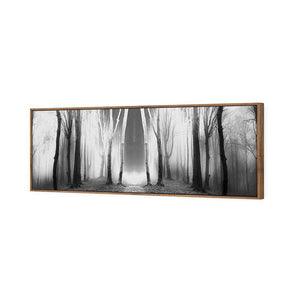 Luminous Forest, B&W | Classic Canvas | Floating Frame | Natural