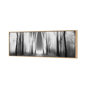 Luminous Forest, B&W | Classic Canvas | Floating Frame | Oak