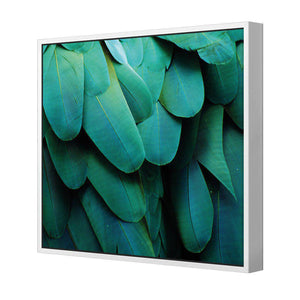 Macaw Feathers | Standard Canvas | Floating Frame | White