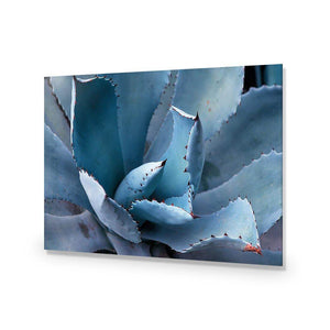 Mexican Succulent | Classic Acrylic | No Frame No Border