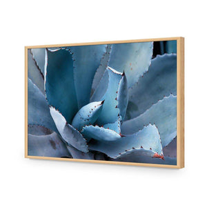Mexican Succulent | Classic Acrylic | Flat Frame No Border | Oak