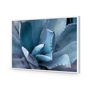 Mexican Succulent | Classic Acrylic | Flat Frame No Border | White