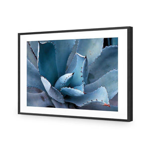Mexican Succulent | Classic Acrylic | Flat Frame With Border | Black