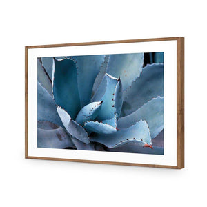 Mexican Succulent | Classic Acrylic | Flat Frame With Border | Natural