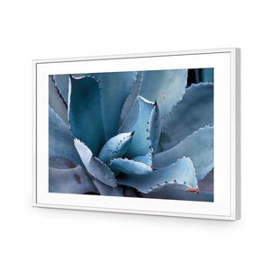 Mexican Succulent | Classic Acrylic | Flat Frame With Border | White
