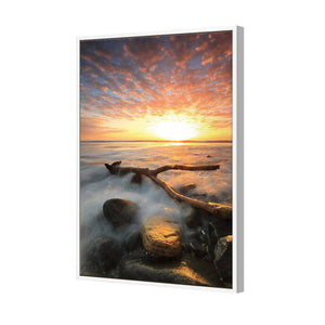 Morning Y | Standard Canvas | Floating Frame | White