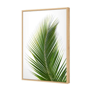 Palm Frond | Classic Canvas | No Frame | Stretched Canvas