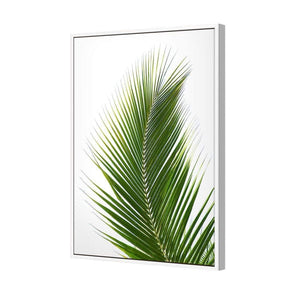 Palm Frond | Classic Canvas | No Frame | Stretched Canvas