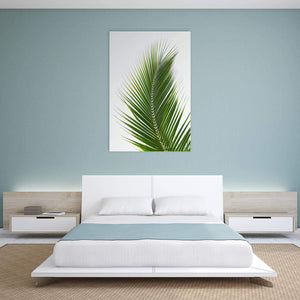 Palm Frond | Classic Canvas | No Frame | Stretched Canvas