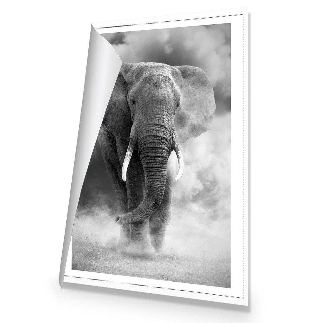 Elephant In Dust, B&W Canvas Art-Canvas-Wall Art Designs-45x30cm-Rolled Canvas-Wall Art Designs