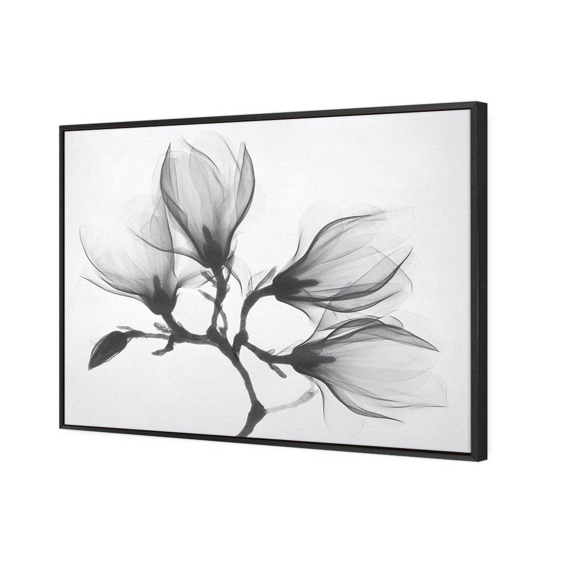 Magnolia Blossoms Canvas Art-Canvas-Wall Art Designs-45x30cm-Canvas - Black Frame-Wall Art Designs