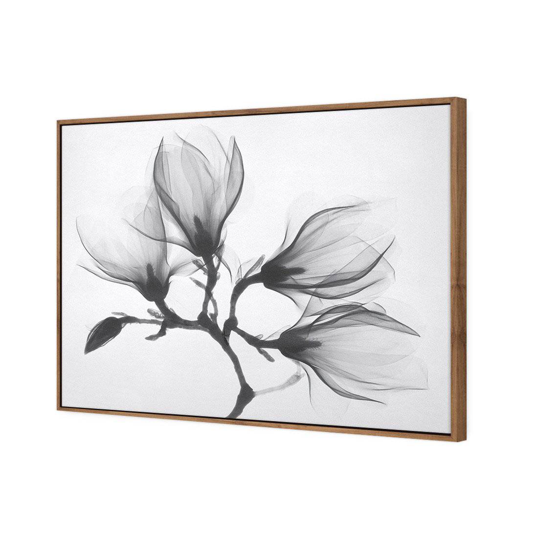 Magnolia Blossoms Canvas Art-Canvas-Wall Art Designs-45x30cm-Canvas - Natural Frame-Wall Art Designs