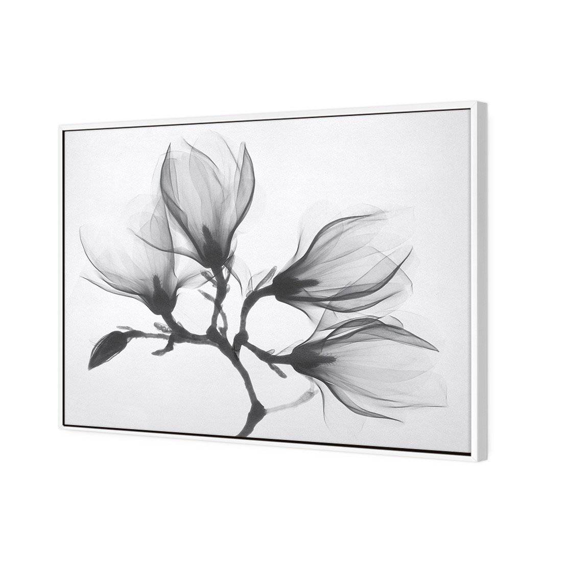 Magnolia Blossoms Canvas Art-Canvas-Wall Art Designs-45x30cm-Canvas - White Frame-Wall Art Designs