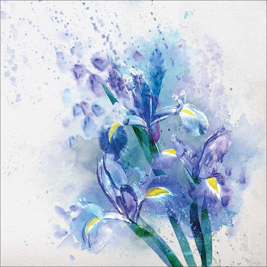 Iris Rain Canvas Art-Canvas-Wall Art Designs-30x30cm-Canvas - No Frame-Wall Art Designs