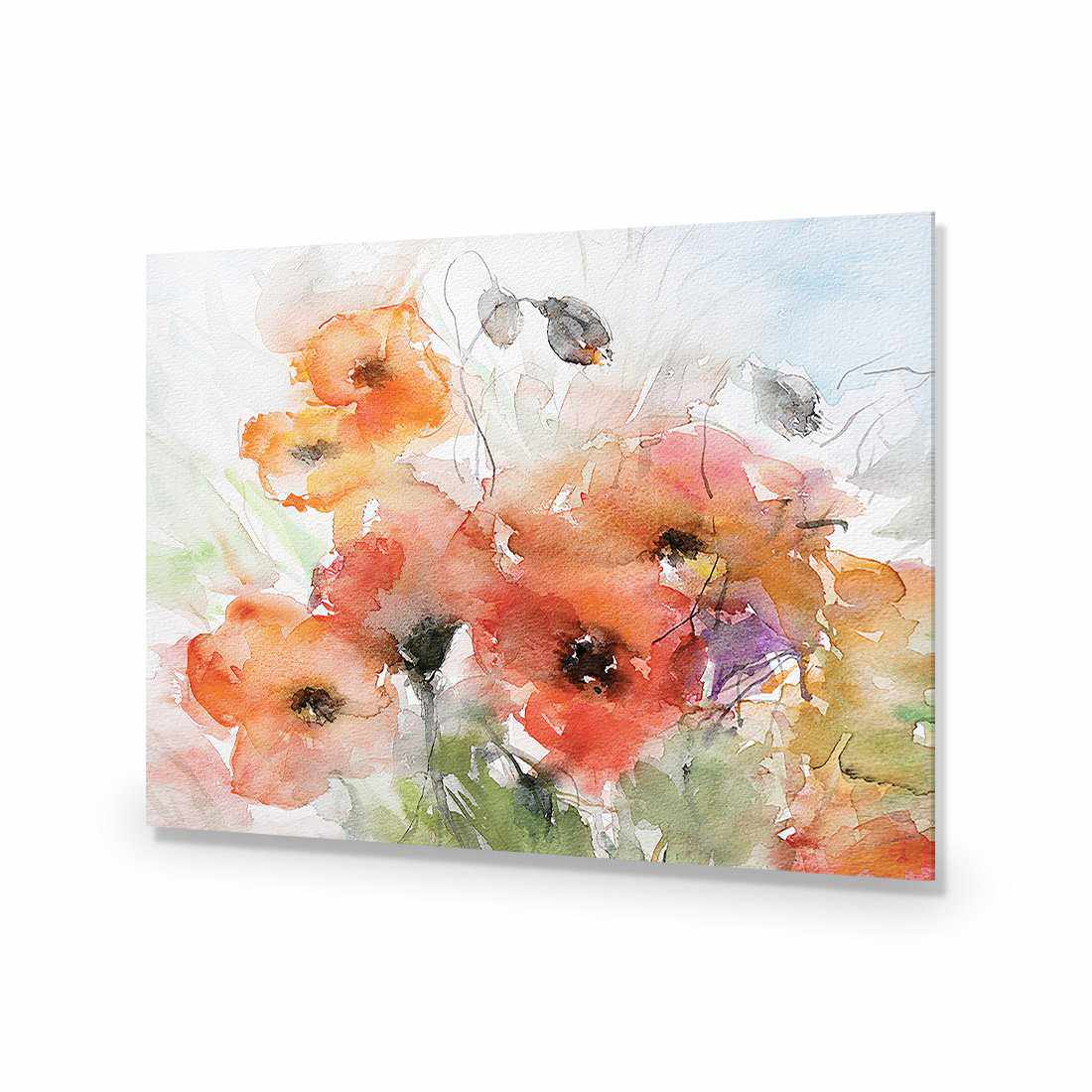Watercolour Poppies-Acrylic-Wall Art Design-Without Border-Acrylic - No Frame-45x30cm-Wall Art Designs