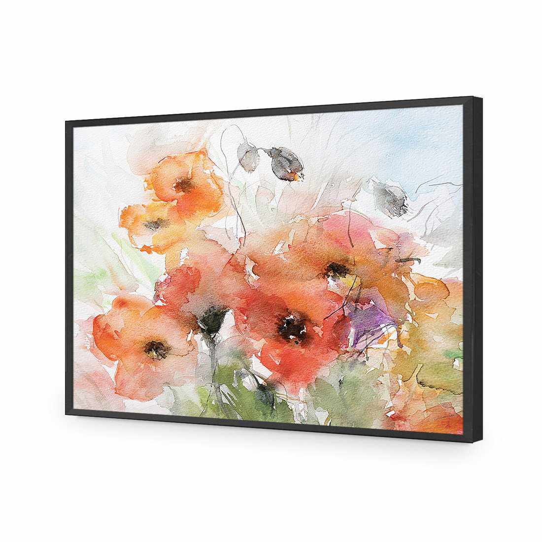 Watercolour Poppies-Acrylic-Wall Art Design-Without Border-Acrylic - Black Frame-45x30cm-Wall Art Designs