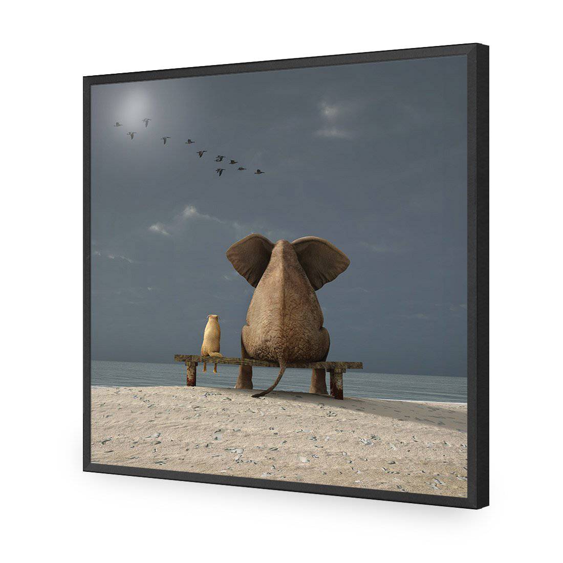 Little And Large, Square-Acrylic-Wall Art Design-Without Border-Acrylic - Black Frame-37x37cm-Wall Art Designs
