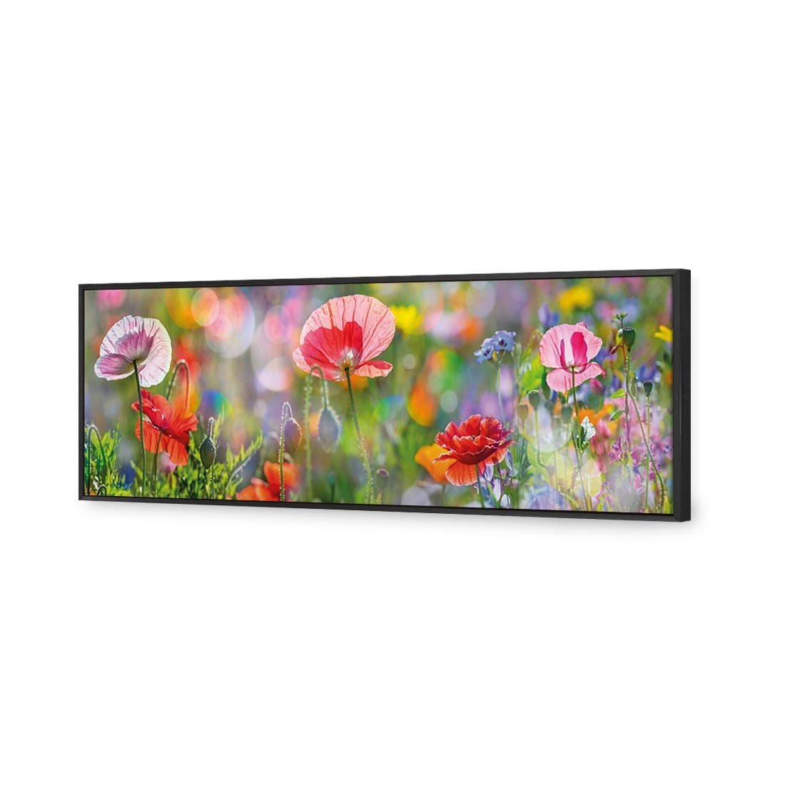 Poppy Panorama Canvas Art-Canvas-Wall Art Designs-60x20cm-Canvas - Black Frame-Wall Art Designs