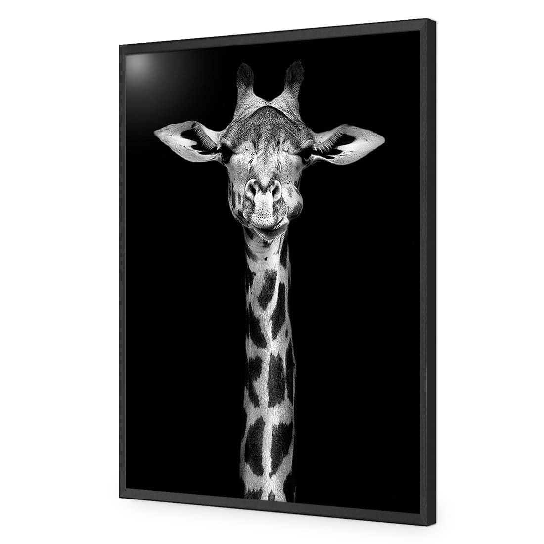 Thornycroft Giraffe-Acrylic-Wall Art Design-Without Border-Acrylic - Black Frame-45x30cm-Wall Art Designs