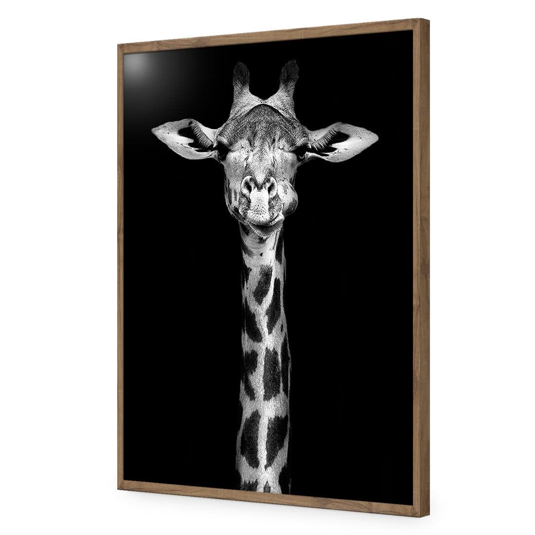 Thornycroft Giraffe-Acrylic-Wall Art Design-Without Border-Acrylic - Natural Frame-45x30cm-Wall Art Designs
