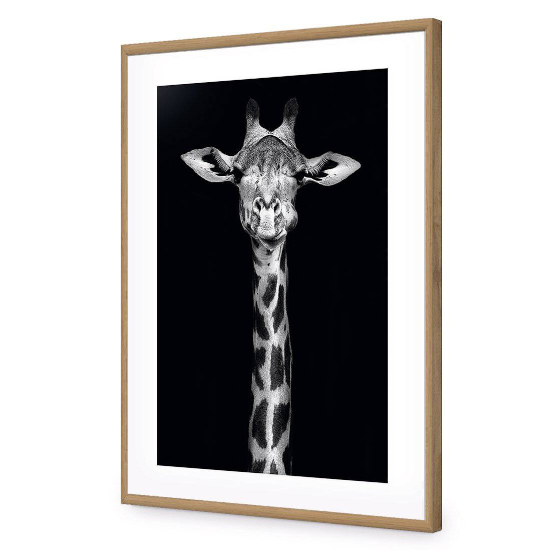 Thornycroft Giraffe-Acrylic-Wall Art Design-With Border-Acrylic - Oak Frame-45x30cm-Wall Art Designs