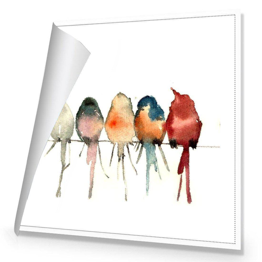 Watercolour Birds on Branch Canvas Art-Canvas-Wall Art Designs-30x30cm-Rolled Canvas-Wall Art Designs