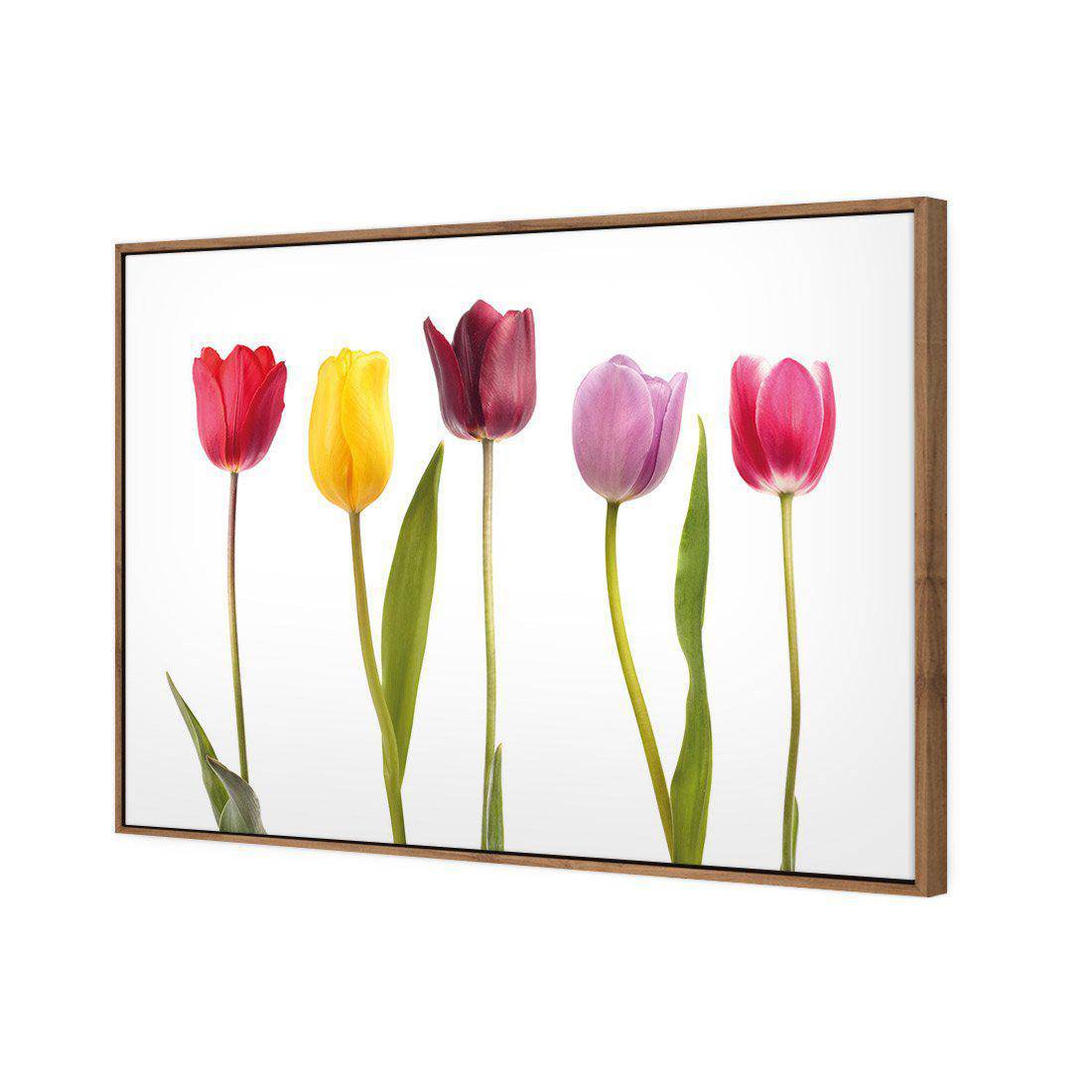 Tulip Delight Canvas Art-Canvas-Wall Art Designs-45x30cm-Canvas - Natural Frame-Wall Art Designs