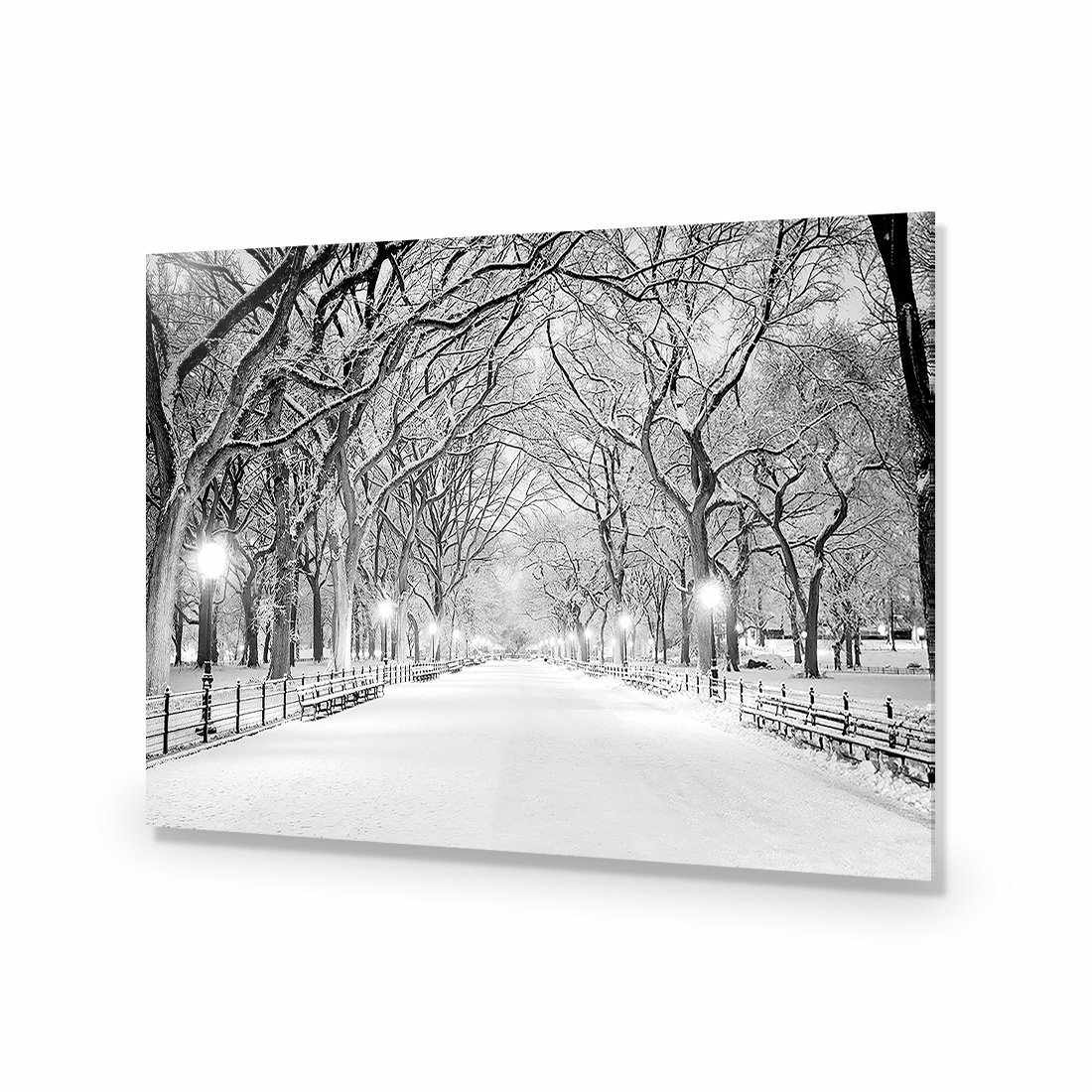 Central Park Dawn in Snow-Acrylic-Wall Art Design-Without Border-Acrylic - No Frame-45x30cm-Wall Art Designs