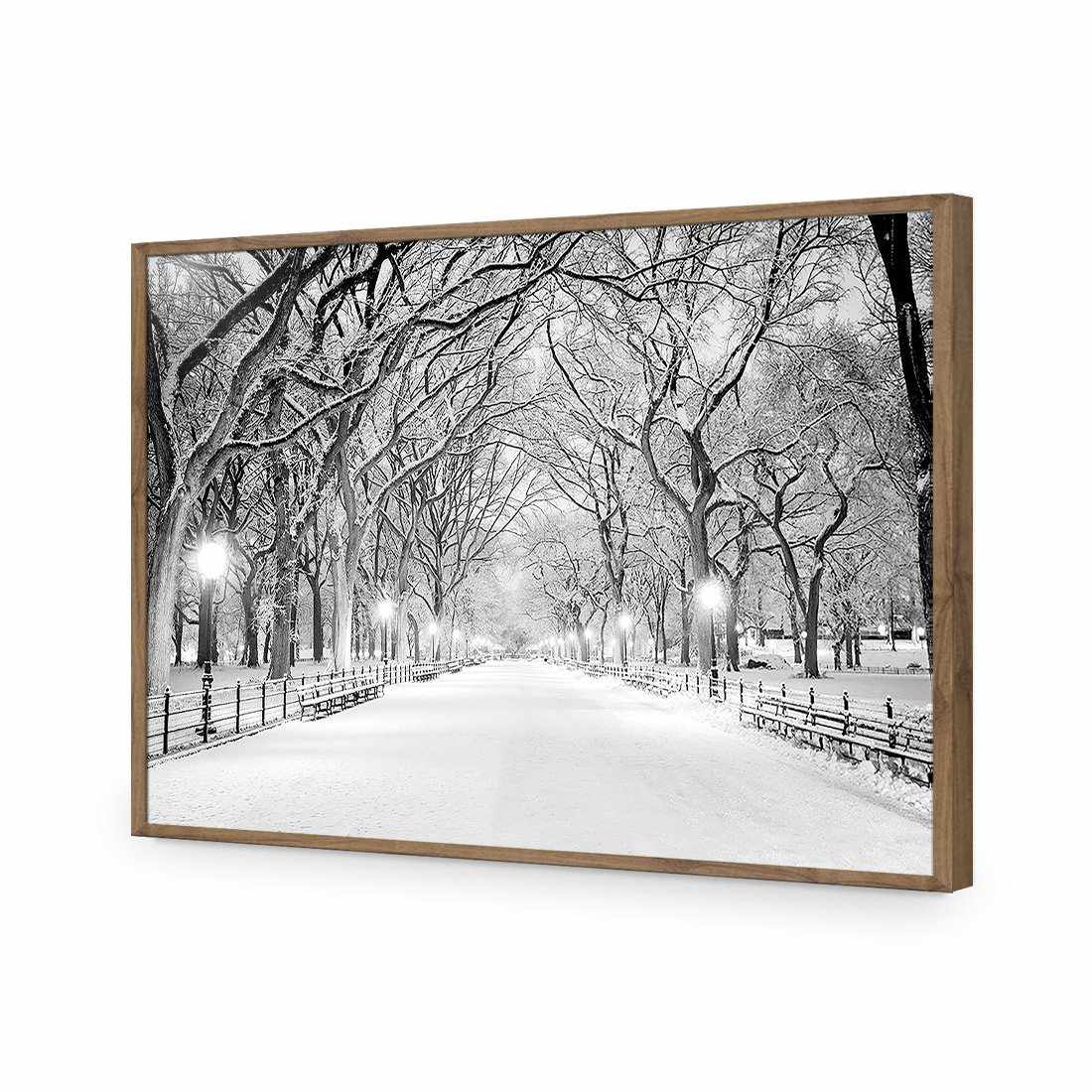 Central Park Dawn in Snow-Acrylic-Wall Art Design-Without Border-Acrylic - Natural Frame-45x30cm-Wall Art Designs